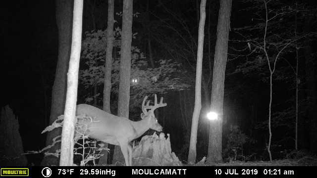 moultrie game camera 7000i cellular